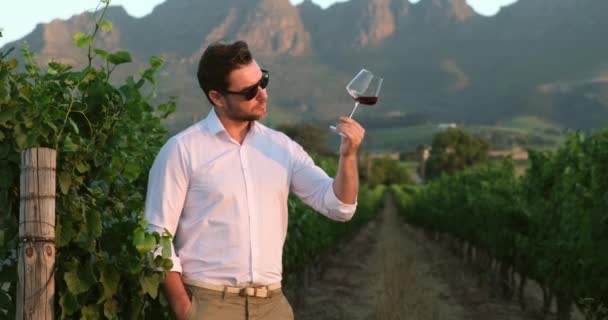 Schöner Mann mit einem Glas Wein in der Hand. Italien Weingut mit Bergen — Stockvideo