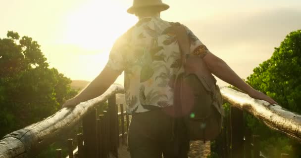 帽子を被った男とバックパックを背負った男がアマゾンジャングルの木の橋を歩いている 霧の山のピーク時に夕日を楽しむバックパックとヒップスターの若い女の子 休暇中の男 — ストック動画