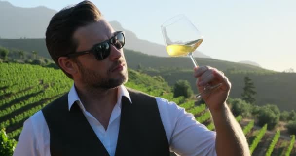 白いシャツと眼鏡のエレガントな男性ソムリエがワイナリーで新しいワインを試しています 赤ワインを試飲してる男とデグステーションカードでノートを作ってる ワインのトレーニングと試飲 — ストック動画
