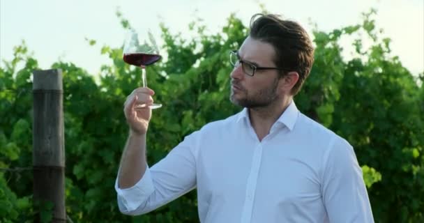赤ワインのグラスを持ったハンサムな髭の男 白いシャツの男がブドウ畑でワインを飲む 春のコートを着た男が持っているワインのグラス 試飲し それを飲む前に赤ワインの匂い — ストック動画