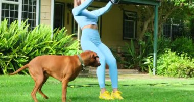Bir spor kızı evin yakınındaki yeşil çimlerde antrenman yapıyor. Neşeli bir köpek yakınlarda koşuyor. Spor kıyafetleri içinde harika vücutlu genç bir kadın trx fitness kayışlarıyla şınav çekiyor..