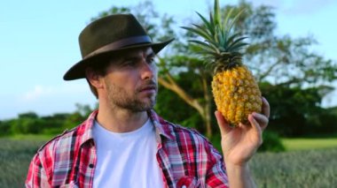 Bahçede yetişen ananaslı tropik meyve. Bir erkek çiftçi, meyve tarlasında elinde olgun bir ananas tutuyor. Güney Amerika 'da tropikal meyve üretimi