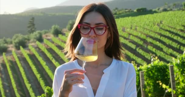 Elegante Sommelier Femenino Una Camisa Blanca Copas Está Probando Nuevo — Vídeo de stock