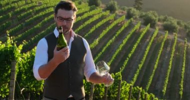 Elinde şarap şişesi olan yakışıklı bir adam. Süslü bir erkek şarap garsonu yelek giyiyor ve beyaz gömlek şaraphanedeki yeni bir şarap çeşidinin kokusunu alıyor. Bir şişe şarap ve cam tutan yakışıklı adam.