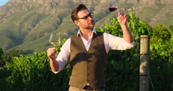 ベストと白のシャツを着たソムリエがワイナリーで新しいタイプのワインの香りを嗅ぐ ワインとグラスを持ってる男 自信のある男は2杯のワインを持ち赤ワインか白ワインを選び — ストック動画