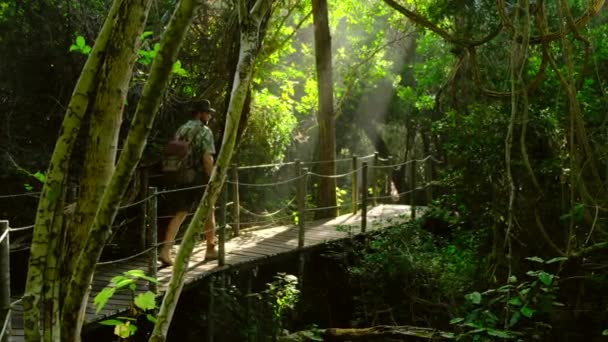 Viajero Con Mochilas Relajándose Selva Verde Disfrutando Vista Cascada Hombre — Vídeos de Stock