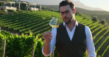 İnsan eliyle tutulan bir bardak beyaz şarap. Tadına bakıp içmeden önce kırmızı şarap kokusu. Şık giyinmiş, şarap kadehi tutan ve heyecan verici şarabın tadını çıkaran yakışıklı, neşeli genç adamın portresi.