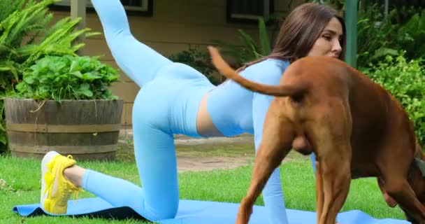 Mädchen Mit Hund Auf Dem Gras Liegend Mädchen Das Die — Stockvideo