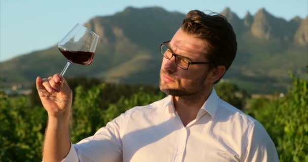 Ένα Ποτήρι Λευκό Κρασί Που Κρατάει Άνθρωπος Μυρίζοντας Κόκκινο Κρασί — Αρχείο Βίντεο