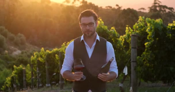 Sommelier品尝不同种类的葡萄酒 美国人拿着一杯控制颜色的葡萄酒 为葡萄园里的葡萄大丰收感到自豪 一个男人举杯和一瓶酒 — 图库视频影像