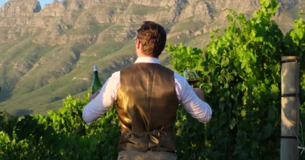 Sommelier Smakuje Różnych Rodzajów Wina Południowy Sommelier Trzymając Szklankę Wina — Wideo stockowe