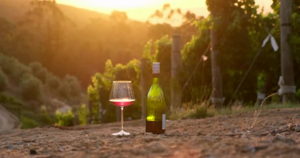 在葡萄园的绿叶旁边 有一杯葡萄酒和一瓶葡萄酒站在地上 与大自然中的酒野餐 — 图库视频影像