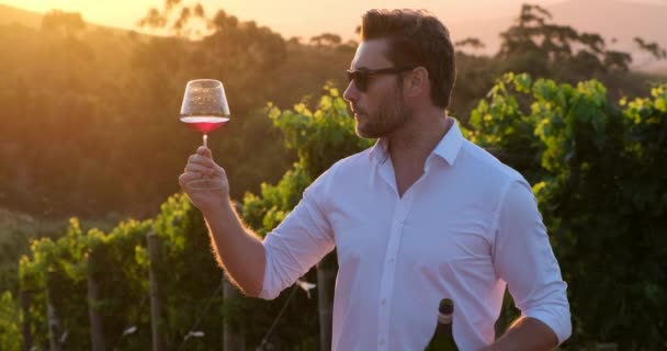 Şarap Garsonu Adam Bardakta Şarap Kokluyor Yakışıklı Adam Bir Bardak — Stok video