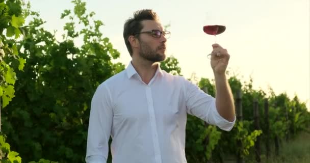 赤ワインを飲みながらブドウ畑で幸せな男 赤ワインの匂いがするワインメーカーだ ヴィンナー農業経営者オーナー ワイナリーの白いシャツに身を包んだスタイリッシュな男がグラスからワインを飲み — ストック動画