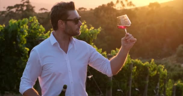 Young Man Tasting Red Wine Vineyard Sunset Successful Male Winemaker — Vídeo de Stock