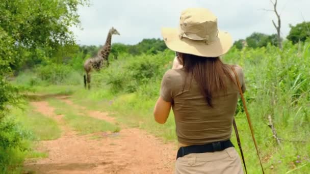 Woman Traveler Safari Style Takes Photo Giraffe Jungle National Park — Stock video