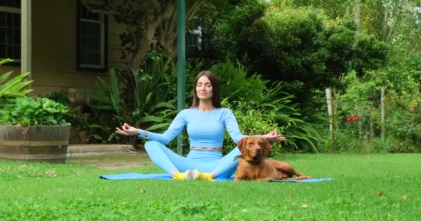 Athletic Girl Meditating Grass Next Dog Beautiful Woman Sportive Top — Stockvideo