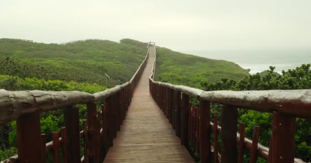 Wooden Bridge Autumn Forest Old Wooden Bridge Ocean Tall Tropical — Video Stock