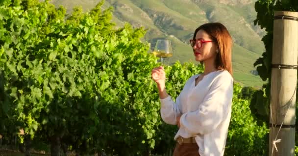 Молода Жінка Дегустує Червоне Вино Винограднику Під Час Заходу Сонця — стокове відео