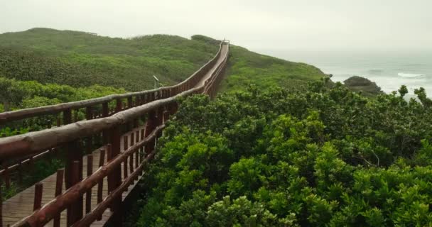 Wooden Bridge Autumn Forest Old Wooden Bridge Ocean Tall Tropical — Video