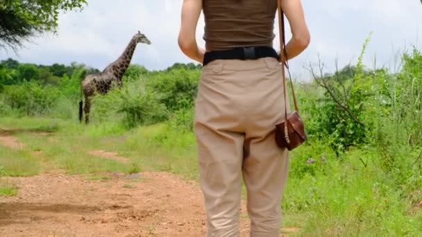 Girl Traveler Safari Style Photographs Giraffe Savannah Happy Zoology Student — Stockvideo