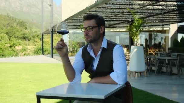 Man Toasting Wineglasses Luxury Restaurant Stylish Successful Man White Shirt — Stock videók