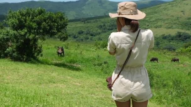 Male Traveler Takes Photo Film Camera Wild Boarin Savannah Giraffe — Video Stock