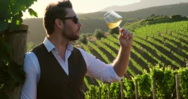 Handsome caucasian bearded hipster man with eyeglasses smiling and holding glass of wine. Sommeliers male hold glass red wine tasting. male sommelier in white shirt holding a glass of red wine