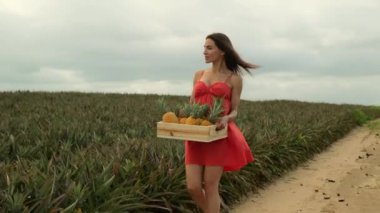 young cheerful woman holds box full of fresh fruits. Successful farmers, organic gardeners pride of excellent harvest of eco fruits. Woman wearing gloves with fresh pineapple in the box in her hands