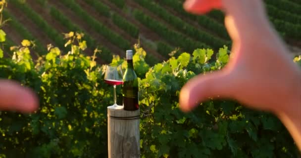 Bottle Wine Glass Wine Stand Wooden Pole Backdrop Green Vineyard — Stok Video