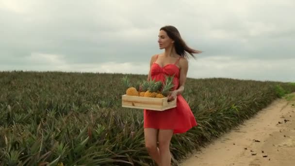 Young Cheerful Woman Holds Box Full Fresh Fruits Successful Farmers — Vídeo de Stock