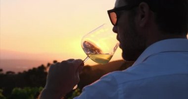 Winemaker in vineyard with glass of wine. stylish man in a white shirt is testing a new sort of white wine from a glass. Authentic shot of successful male is tasting a flavor and checking red wine
