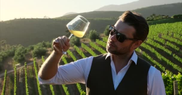 Winemaker Vineyard Glass Wine Stylish Man White Shirt Testing New — Stockvideo
