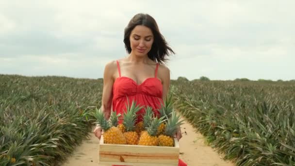 Young Cheerful Woman Holds Box Full Fresh Fruits Successful Farmers — Vídeo de Stock