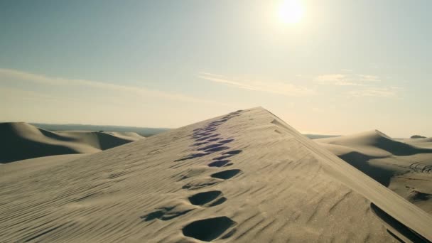 Пустельний Пейзаж Пустелі Гобі Відбитками Слідів Піску Сліди Піщаних Дюнах — стокове відео