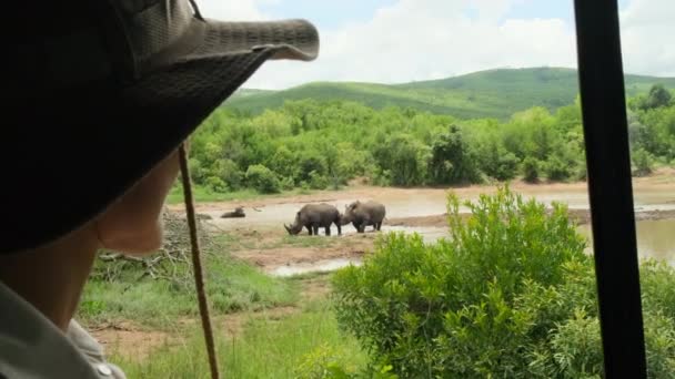 サファリでサイを見ている女の子旅行者車から野生動物 母と赤ちゃんのサイは飲む準備ができています アフリカです 南アフリカのサファリの水飲み場で見た白いRhinoとふくらはぎ — ストック動画