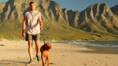 Köpekli genç adam sahilde oturuyor ve gün batımını seyrediyor. Şapkalı neşeli, genç bir erkek sahilde köpeğine sarılıyor. Spor ceketli bir adam sevgili köpeğiyle yürüyor.