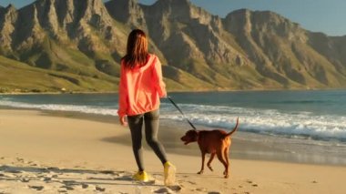 Köpekli genç bir kadın sahilde oturuyor ve gün batımını seyrediyor. Şapkalı neşeli genç bir kadın sahilde oturmuş köpeğine sarılıyor. Spor ceketli bir kadın sevgili köpeğiyle yürüyor.
