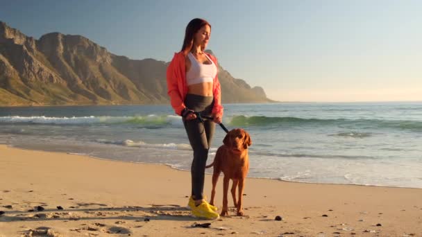 Junge Frau Mit Hund Sitzt Strand Und Beobachtet Den Sonnenuntergang — Stockvideo