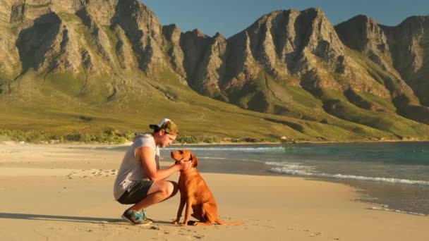 Concept Cynologue Parc Canin Homme Avec Labrador Extérieur Homme Avec — Video