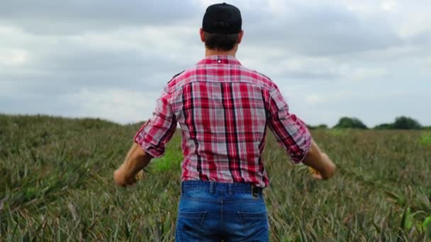 Agricultor Sexo Masculino Uma Camisa Xadrez Jeans Levanta Mãos Onde — Vídeo de Stock