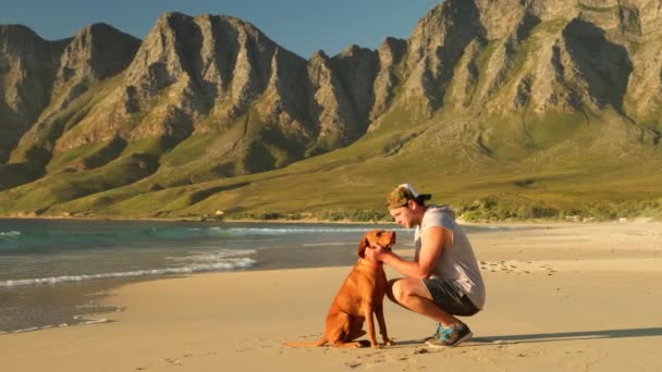 Cynologkonceptet Hundparken Man Med Labrador Utomhus Man Med Valp Dog — Stockvideo