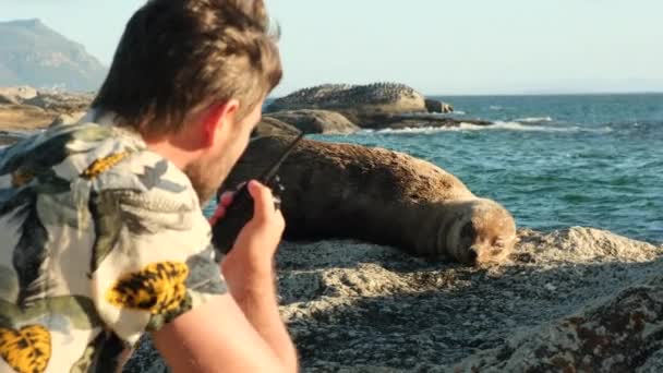 戴着帽子和衬衫的旅行者拍了一张睡觉印章的照片 海滩上的一块石头上躺着一只漂亮的灰海豹 沐浴在阳光下 在南非海滩上休息的海豹宝宝 — 图库视频影像