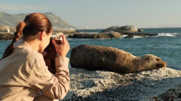 Странник Шляпе Рубашке Фотографирует Спящего Тюленя Красивый Серый Тюлень Лежит — стоковое видео