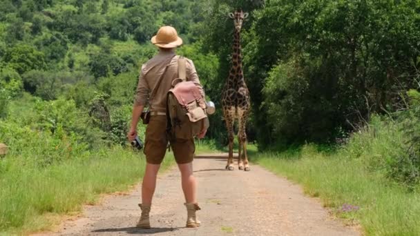 マサイキリンは太陽の下で茂みのそばに立っています アフリカ国立公園にはリュックとカメラを持った旅行者が立っていてキリンを見ています キリンは植物の間のサバンナを歩き — ストック動画