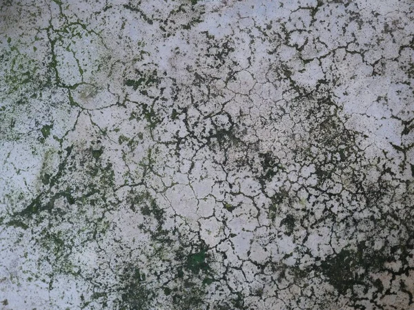 Stains Cement Floor Form Green Mold — Stock Photo, Image