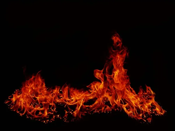 Flame Flame Texture Strange Shape Fire Background Flammenfleisch Das Vom — Stockfoto