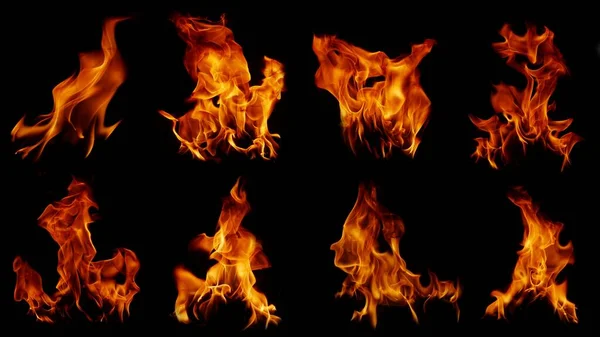 Gyűjtemény Lángkép Láng Láng Textúra Szeszélyes Tűz Hátterek Láng Hús — Stock Fotó