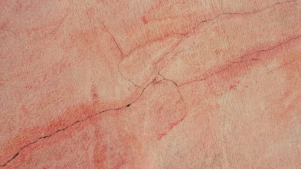 Eski Gül arkaplan duvarı Retro tarzı arkaplan, pastel renk.