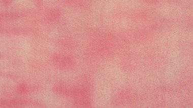 Eski Gül arkaplan duvarı Retro tarzı arkaplan, pastel renk.